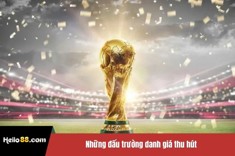 Những đấu trường danh giá thu hút hàng triệu người hâm mộ 2025