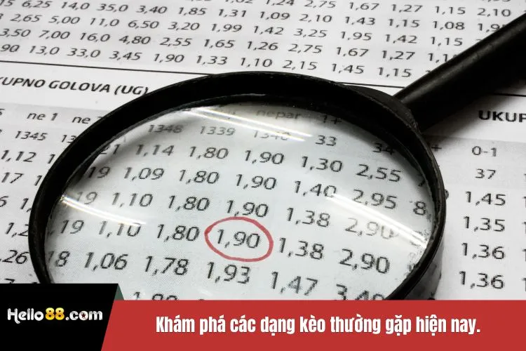 Khám phá các dạng kèo thường gặp hiện nay.